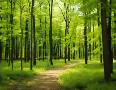 峰度控股骆国峰-九游体育app